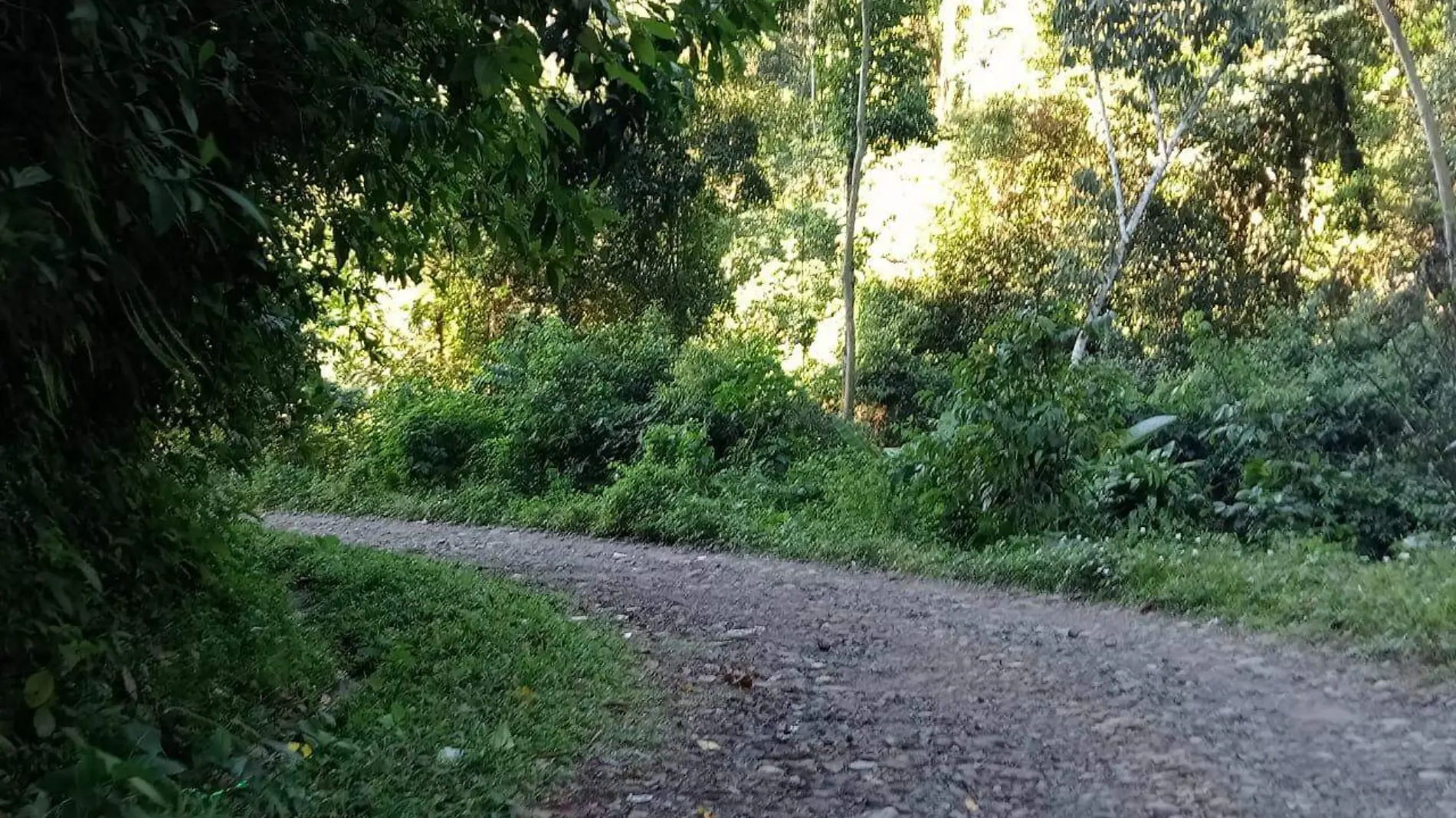 carretera zona media alta Tapachula